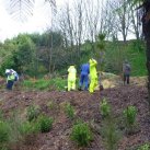 78. Fonterra staff- June 2011 Cambridge Tree Trust